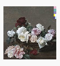 A Basket of Roses Photographic Print