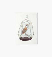 Barn Owl Art Board