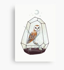 Barn Owl Canvas Print