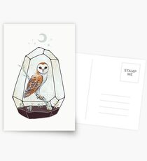 Barn Owl Postcards