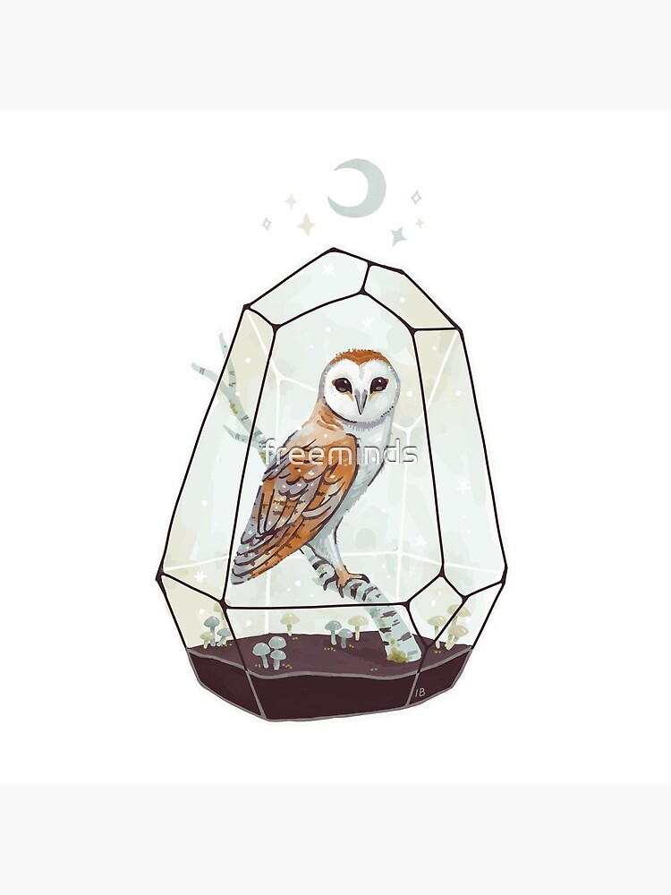 Barn Owl by freeminds
