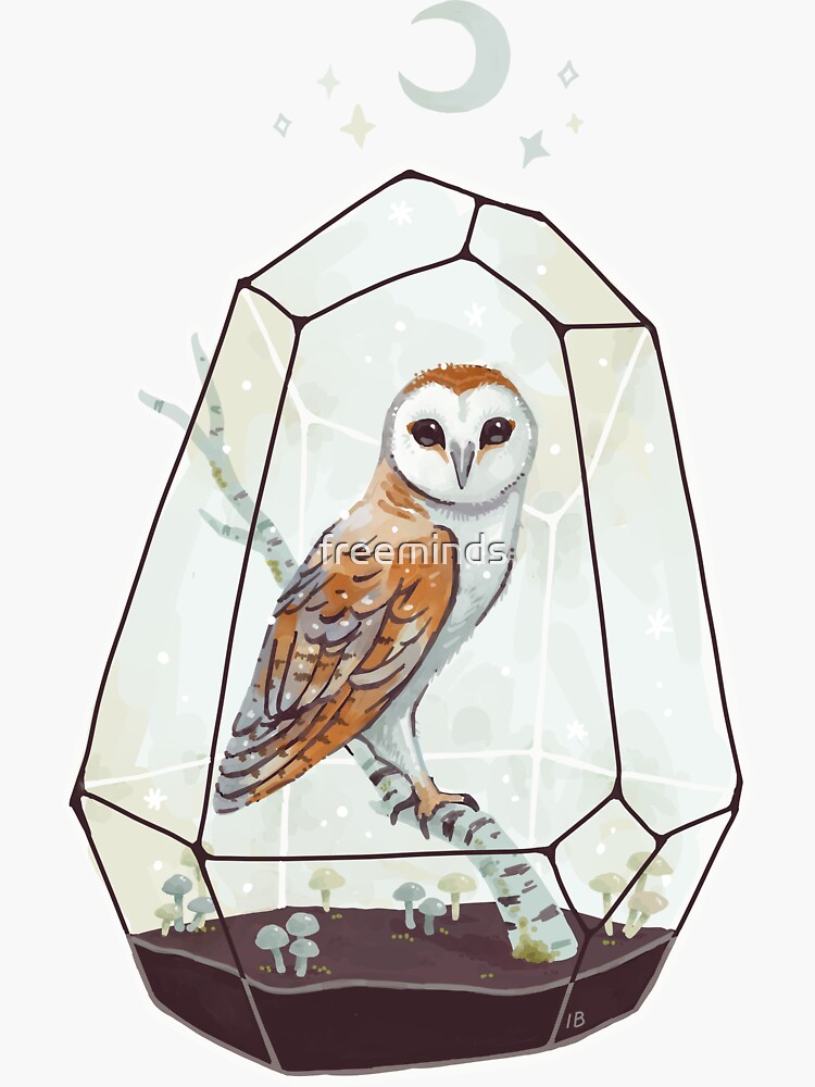 Barn Owl by freeminds
