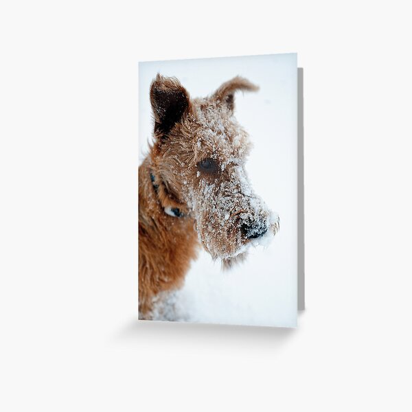 White Irish! Greeting Card
