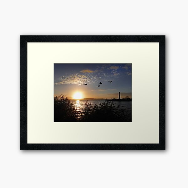 Pencil Sunset Swans Framed Art Print