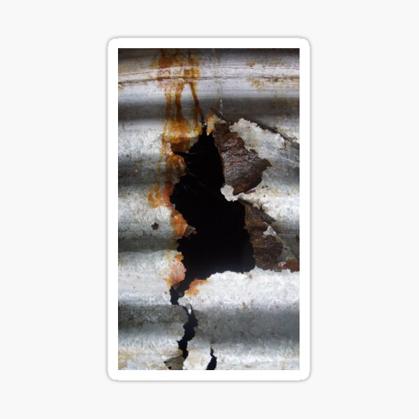 Blow Out - Magpie Springs - Adelaide Hills Wine Region - Fleurieu Peninsula - South Australia Sticker
