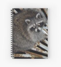 Raton laveur Cahier à spirale