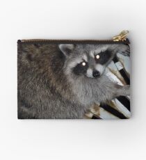 Raton laveur Pochette