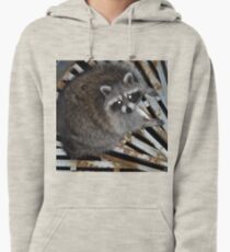 Raton laveur Sweat à capuche