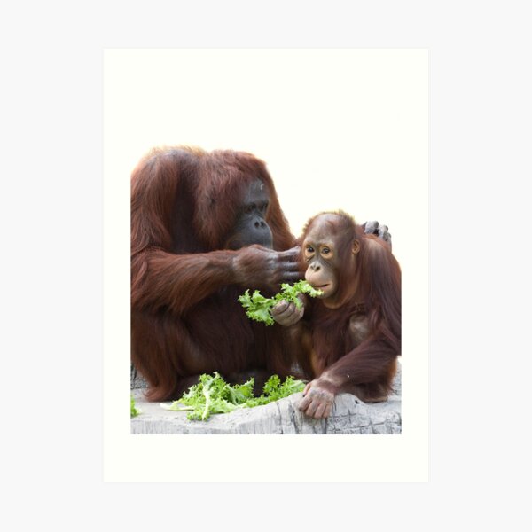 Togetherness Art Print