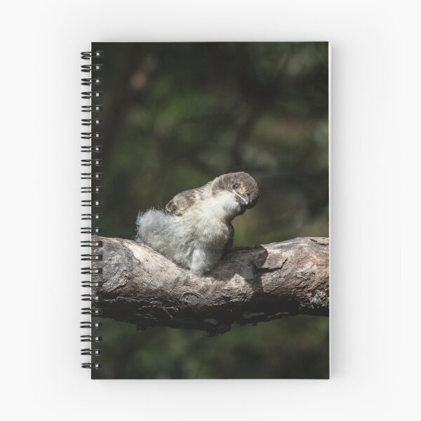 Item preview, Mummy --- Where are you??? designed and sold by Marylou Badeaux.