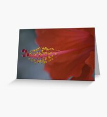 fresh Greeting Card