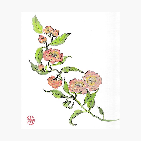 Item preview, Peach beauty designed and sold by Rebecca Cragg.