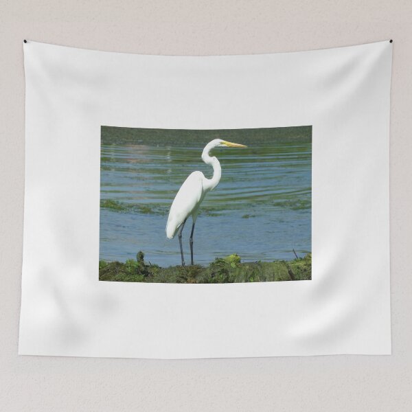 Item preview, Great Egret designed and sold by MAC2009.