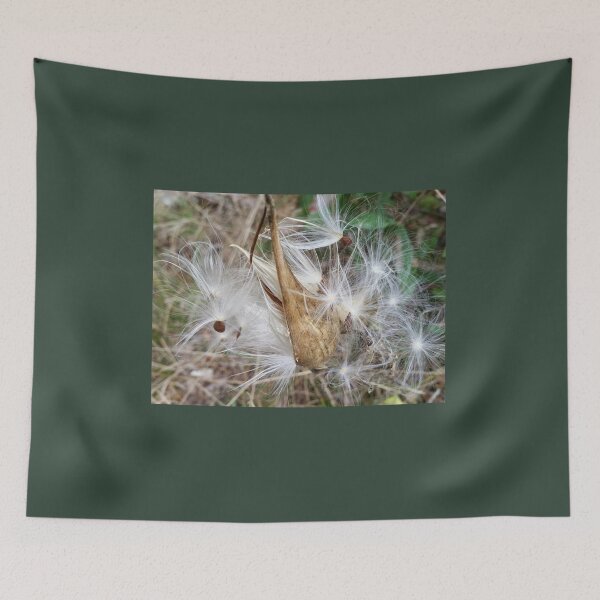 Item preview, Make A Wish With Milkweed! designed and sold by NC NatureVisions.