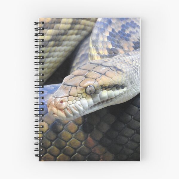Item preview, Amethystine Python designed and sold by kirstybush.