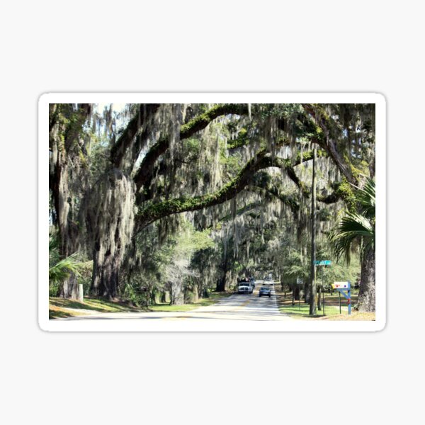 Item preview, Floral City, Florida ~ View 2 designed and sold by AuntDot.
