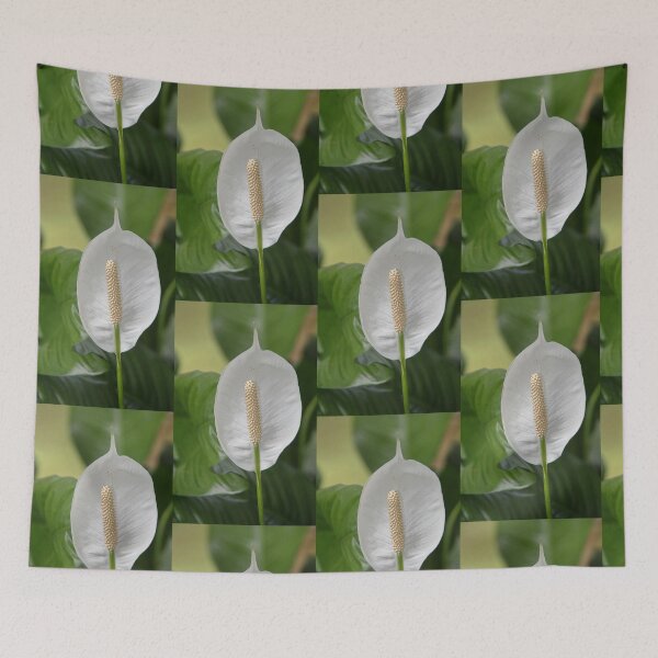 Item preview, Peace Lily  designed and sold by Carole-Anne.
