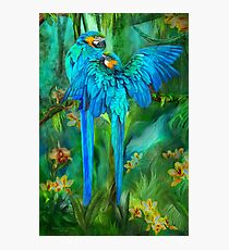 Tropic Spirits - Gold and Blue Macaws Photographic Print