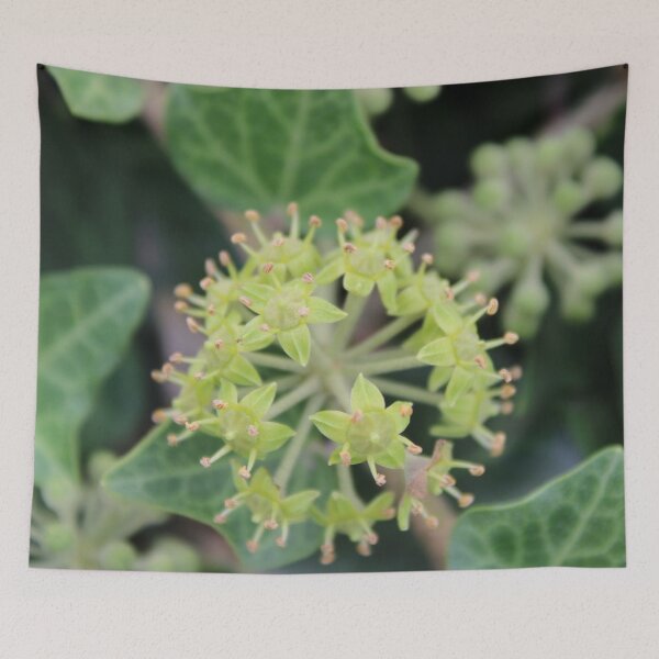 Item preview, Photography close up of an interesting plant designed and sold by PM-Artistic.