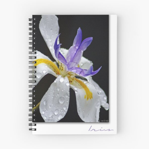 Item preview, African Iris designed and sold by Holly Kempe.