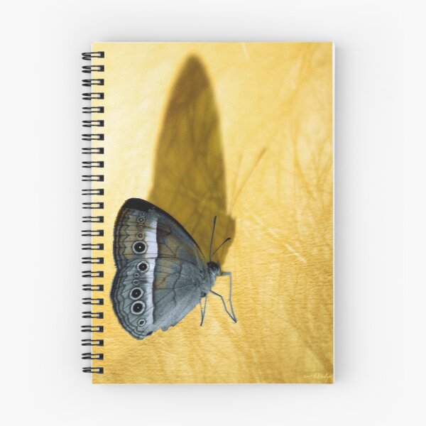 Item preview, Chasing Shadows designed and sold by Holly Kempe.
