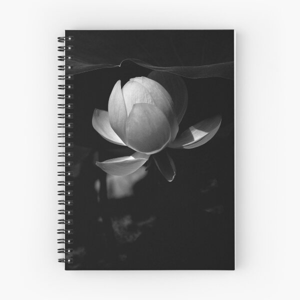 Aperçu de l'œuvre Lotus #105 créée et vendue par Janos Sison.