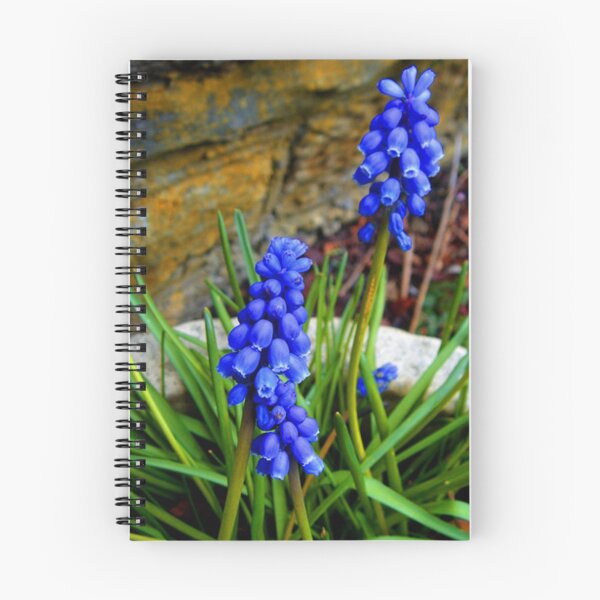 Item preview, Muscari designed and sold by leekier.