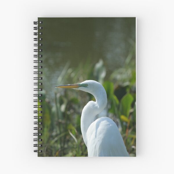 Item preview, GREAT EGRET designed and sold by Howard S Taylor.
