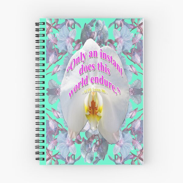 Item preview, ACIM-Lesson 300 designed and sold by ACIM-LOVE.