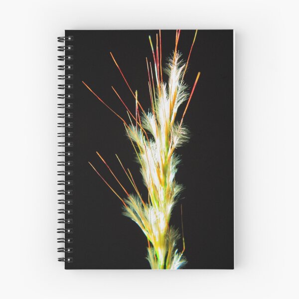Item preview, Desert Salt Grass-A-Bloom designed and sold by Steven Sullivan.