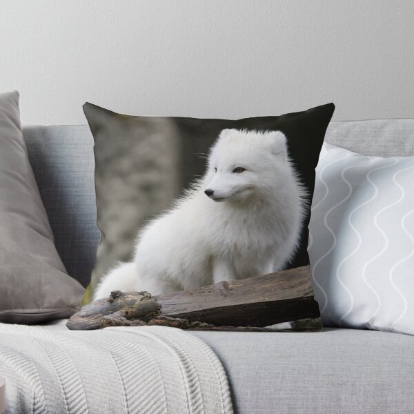 An Arctic Fox in its Winter Coat Throw Pillow