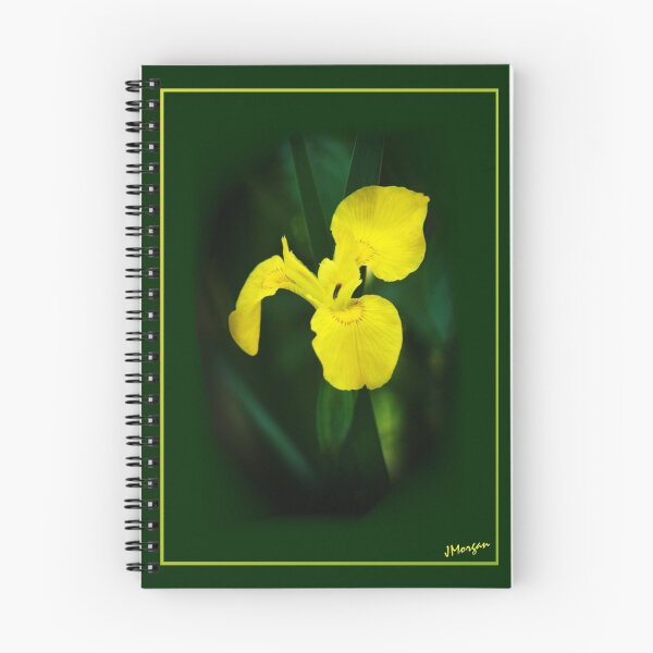 Item preview, Yellow Iris designed and sold by Julie's Camera Creations <><.