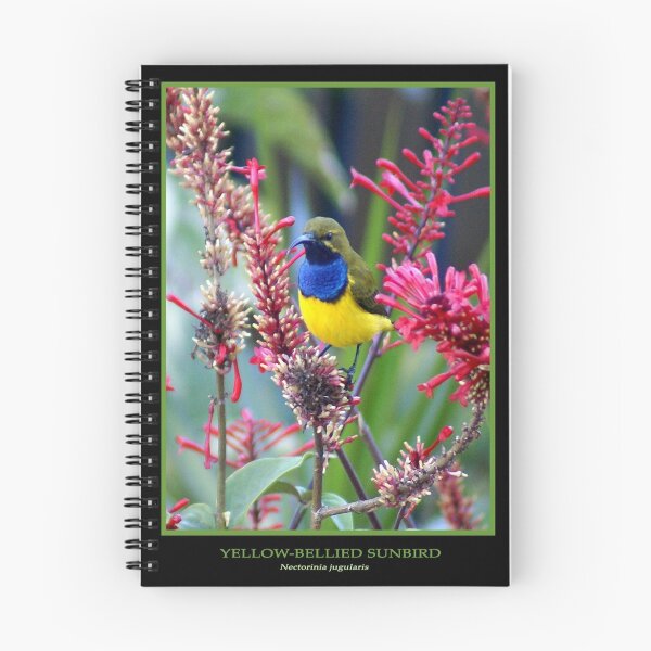 Item preview, Sunbird designed and sold by Holly Kempe.