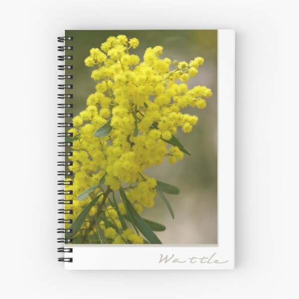 Item preview, Wattle designed and sold by Holly Kempe.