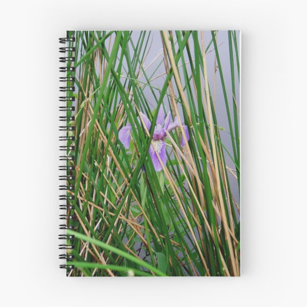 Item preview, Blue Flag Iris (Iris Versicolor) designed and sold by Rebecca Bryson.