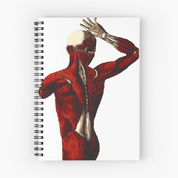 Item preview, TORSO designed and sold by SofiaYoushi.