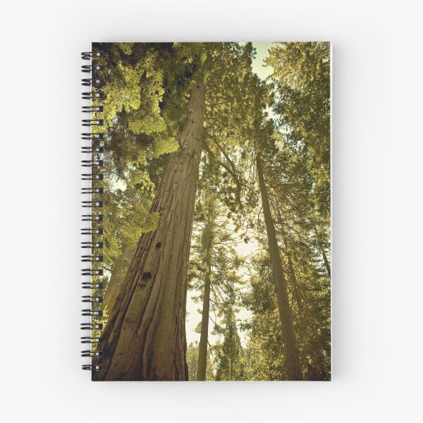 Item preview, Vintage Sequoia designed and sold by m24instudio.