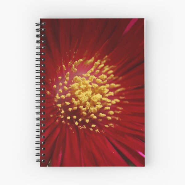 Item preview, Pollen designed and sold by Joy Watson - Natural Light Photography .