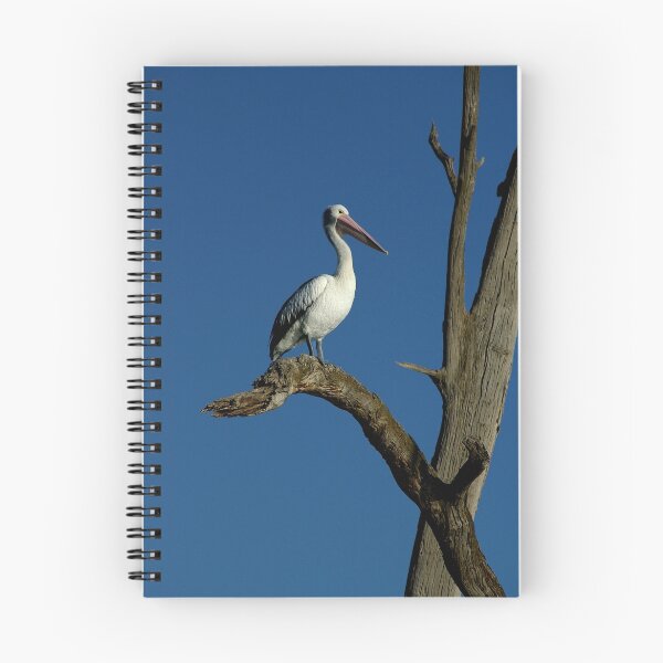 Item preview, Pelican of the Murray River designed and sold by Michael Humphrys.