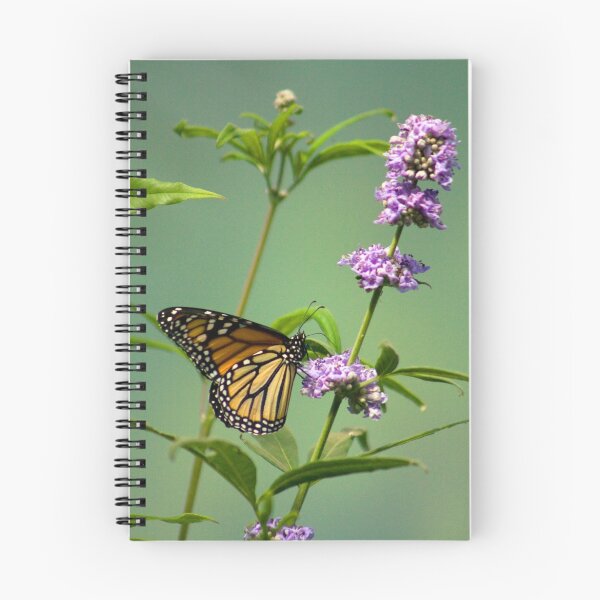 Item preview, Delicate Monarch designed and sold by steini.