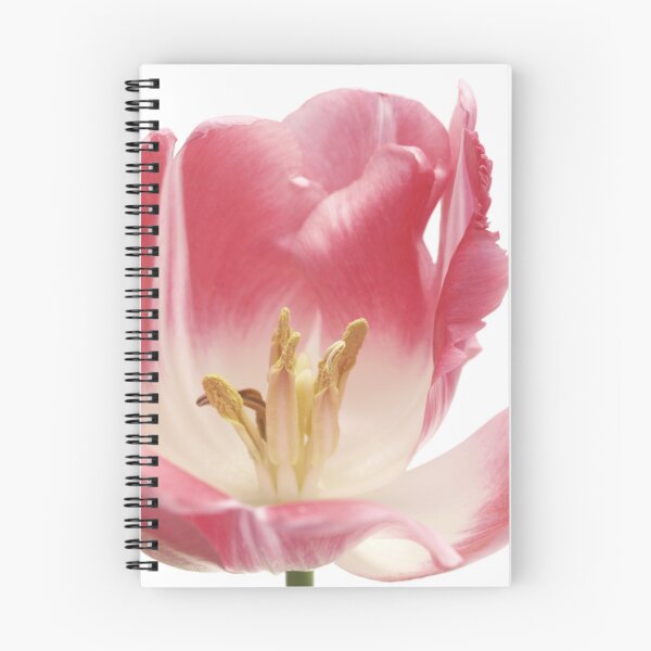 Item preview, Tulip I designed and sold by the-novice.