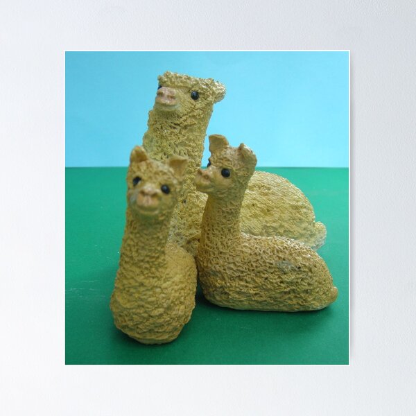 Dad and the twinAlpaca's Poster