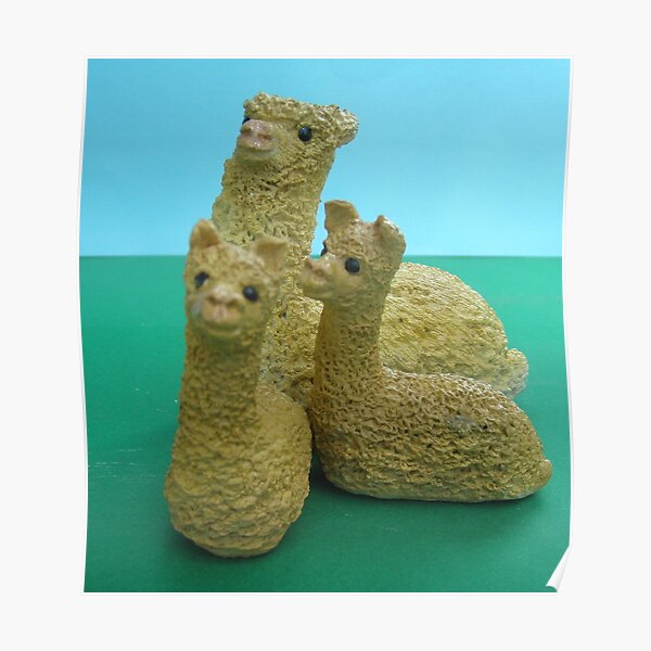 Dad and the twinAlpaca's Poster