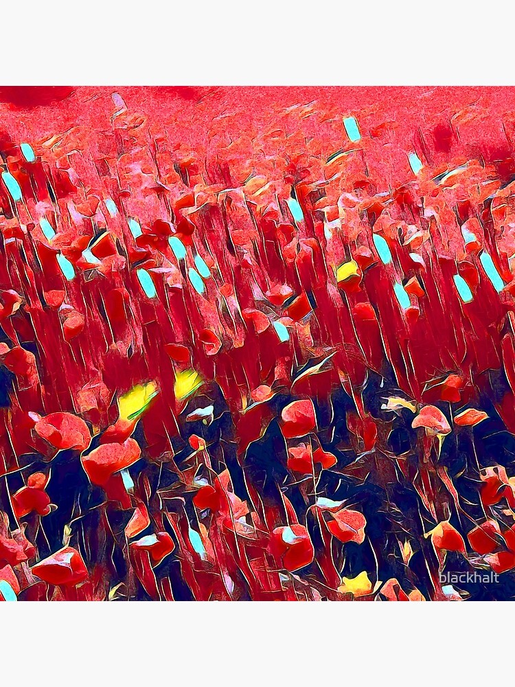 Magical poppy field by blackhalt