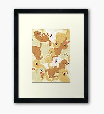 Golden retriever Framed Print