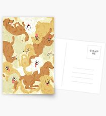 Golden Retriever Postkarten