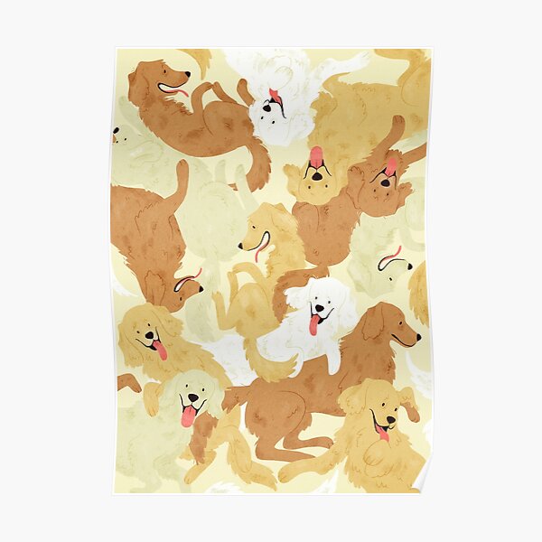 Golden retriever Poster