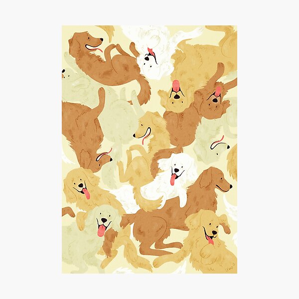 Golden Retriever Fotodruck