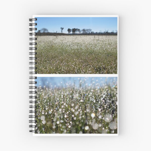 Item preview, Morning Frost on Dangars Lagoon - Diptych designed and sold by Kitsmumma.