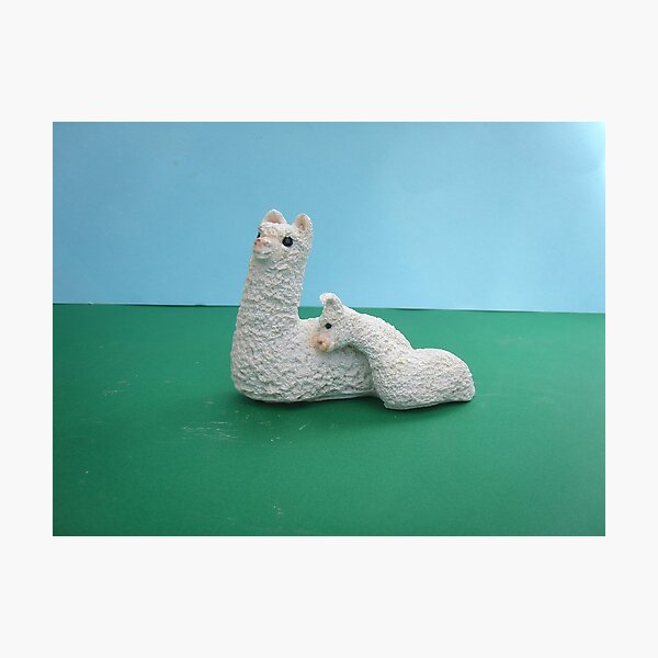 White Mum and baby Alpaca Photographic Print